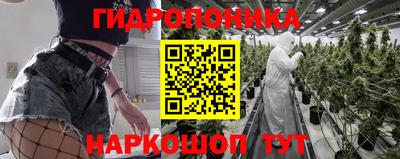 стафф Тверь