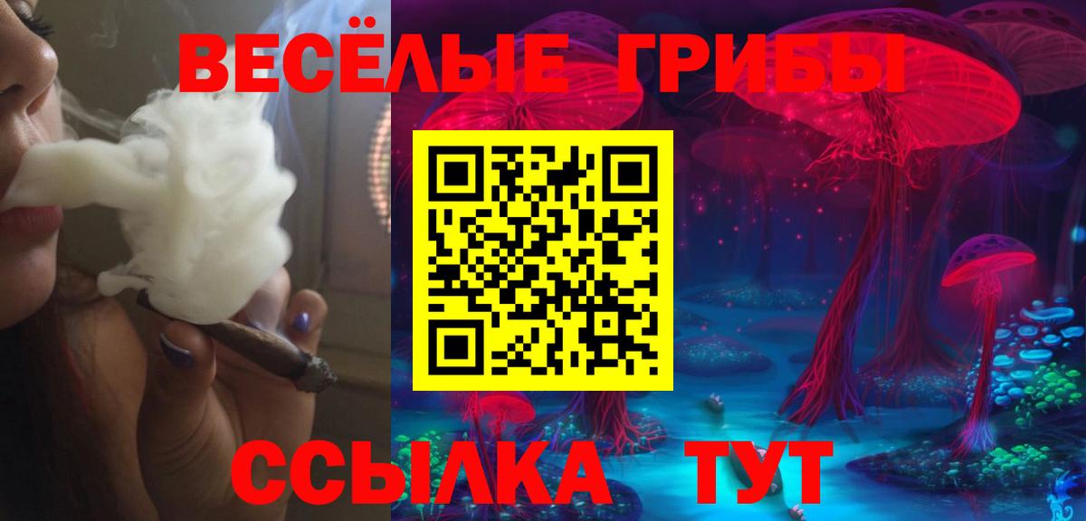 Осинники  Псилоцибиновые грибы ЛСД  купить закладку  Вход с VPN 